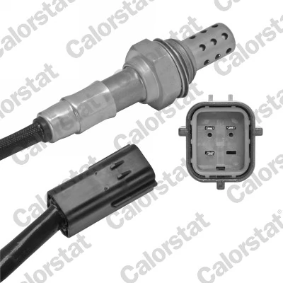 Oxygen Sensor